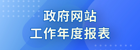 政府網(wǎng)站工作年度報(bào)表